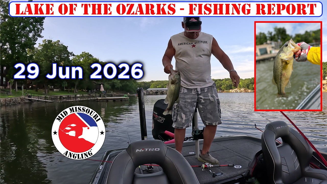 Lake of the Ozarks Bass Fishing – 29 Jun 2026 | Fishing report
