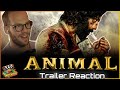 Animal official trailer reaction  ranbir kapoor  bobby deol  anil kapoor