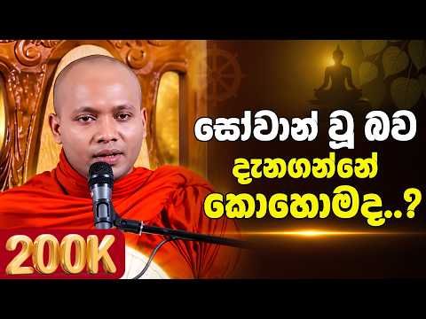 තමන් සෝවාන් බව දැනගන්නේ කොහොමද..? | Hasalaka Seelavimala Thero | හසලක සීලවිමල හිමි | #බණ #ධර්මදේශනා