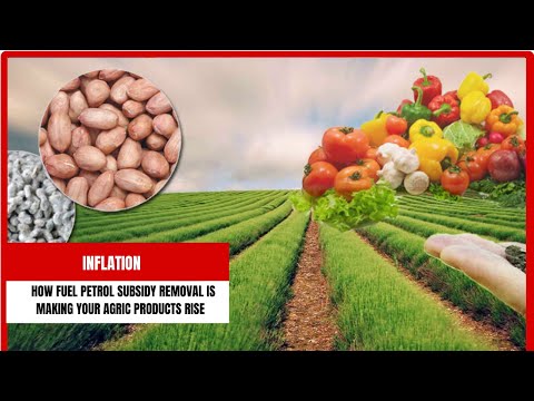 How Petrol Subsidy Removal Is making Your Agric Products Rise