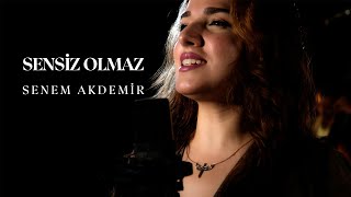 Senem Akdemir - Sensiz Olmaz Resimi