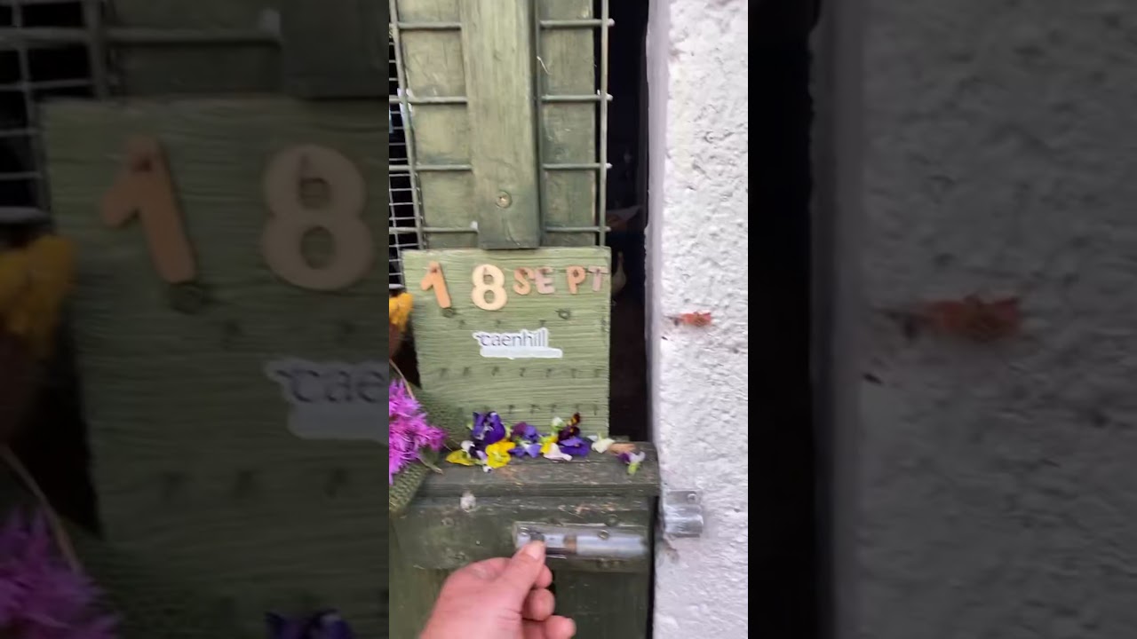 Greetings and good morning it’s the Saturday rush hour 