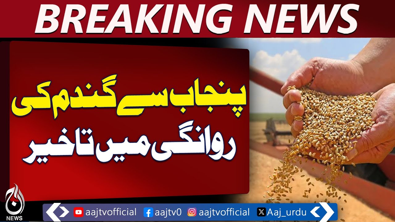 Wheat & Flour Supply Disruption | Punjab to KP | Food Security Alert - Aaj Pakistan News