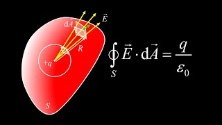 Celebrity Electric flux, derivation of Gauss' Law and using Gauss' Law to find electric field. Wealth