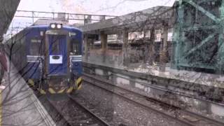 台北哀歌 山本量子 カンロサウルス Youtube 台北哀歌 山本量子 カンロサウルス Youtube