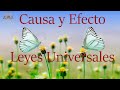 Causa y Efecto - Leyes Universales