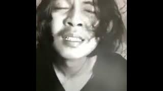 story Wa - Tabir kepalsuan (cover)