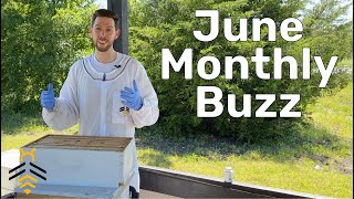 June 2024 Monthly Buzz