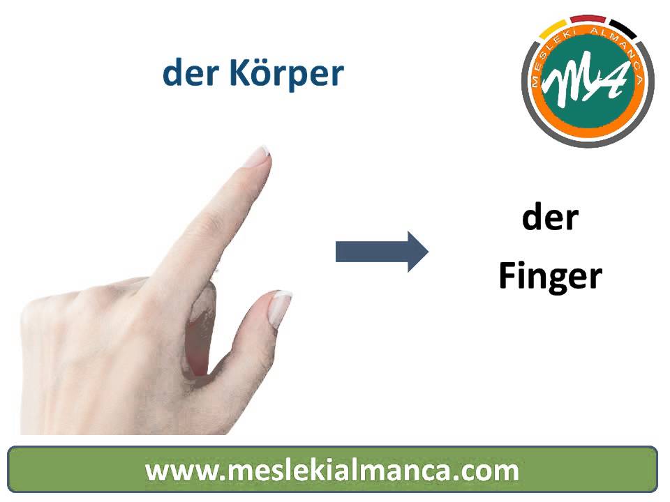 Tıp Seslendirmeleri: der Finger.