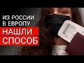 Как попасть в Германию из России сейчас ‼Срочный выпуск