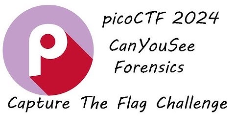 CanYouSee | Forensics | picoCTF 2024