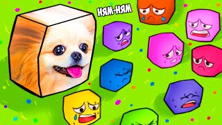 Я СТАЛА ГОЛОДНЫМ КУБИКОМ В РОБЛОКС ! БОЛЬШОЙ ЕСТ МАЛЕНЬКОГО | Cube Eating Simulator