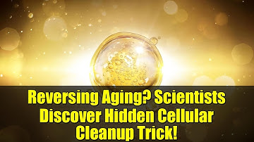 Reversing Aging? Scientists Discover Hidden Cellular Cleanup Trick!