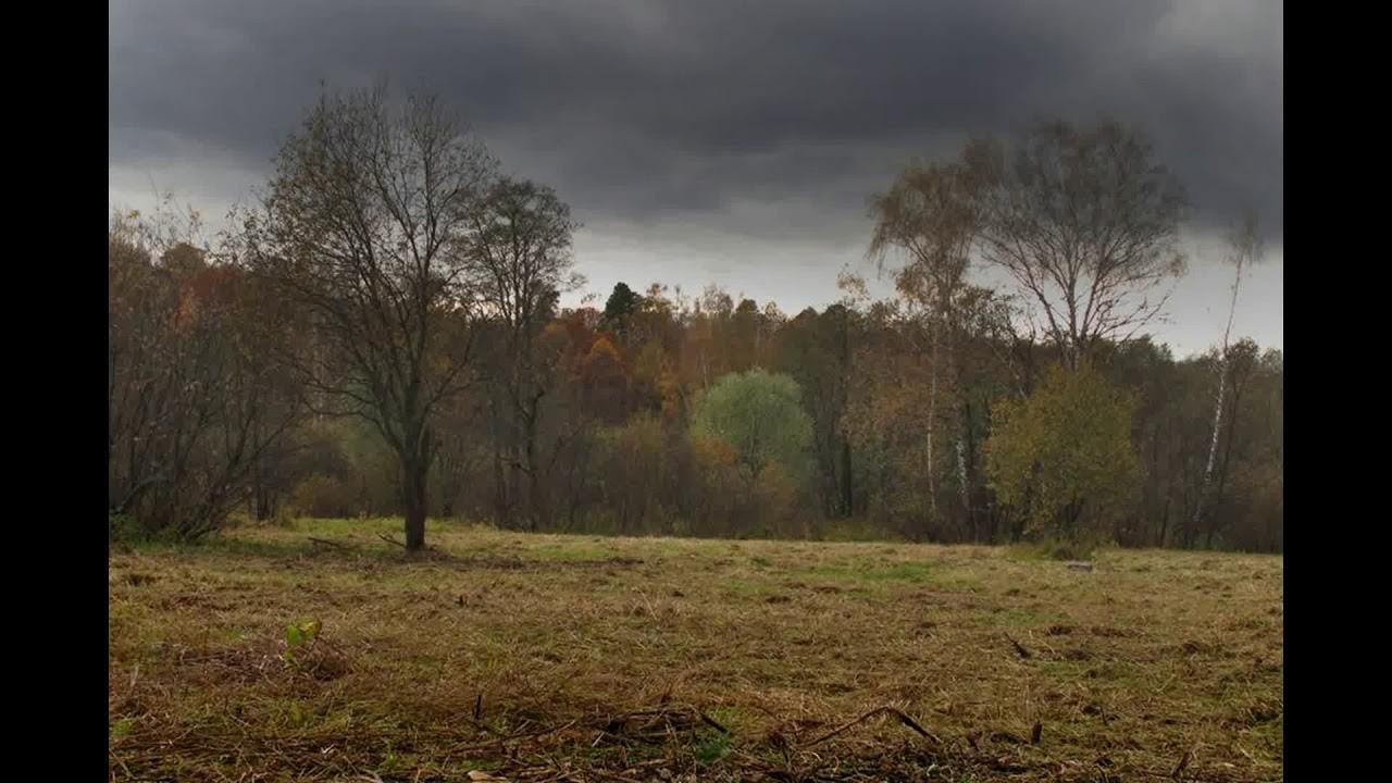 Здесь вдали города было пасмурно