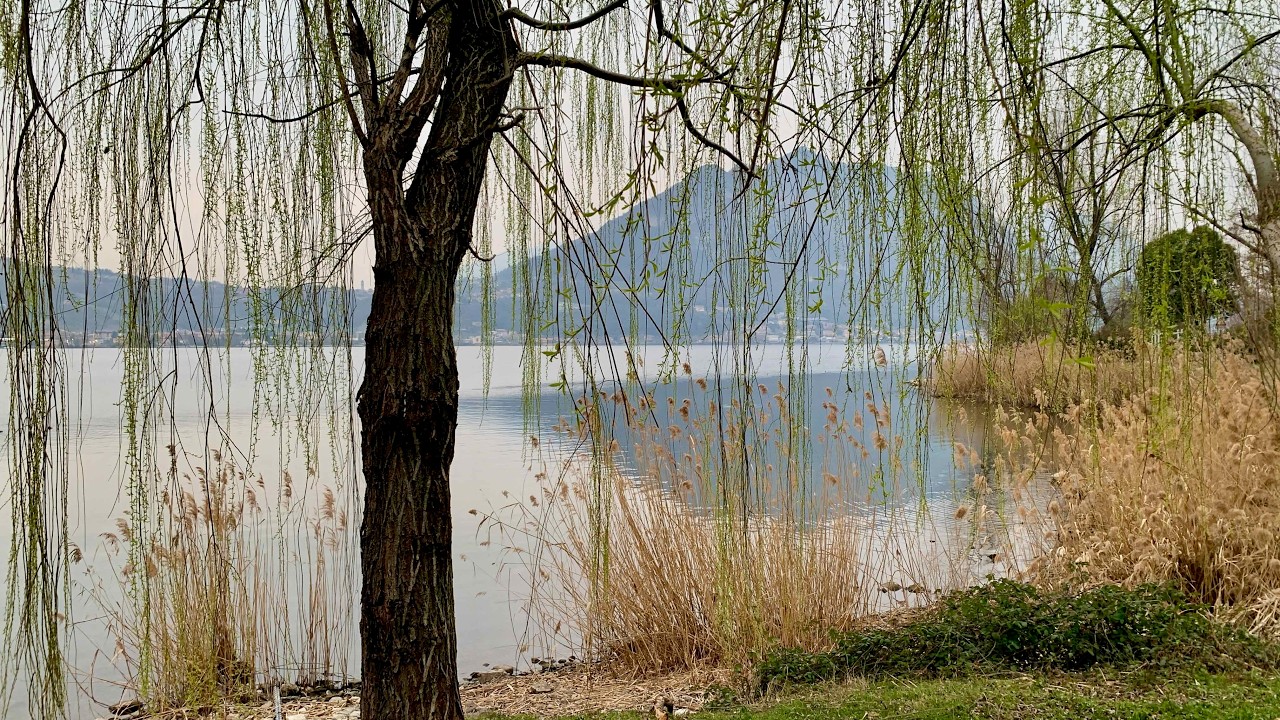 Gita del primo marzo 2023