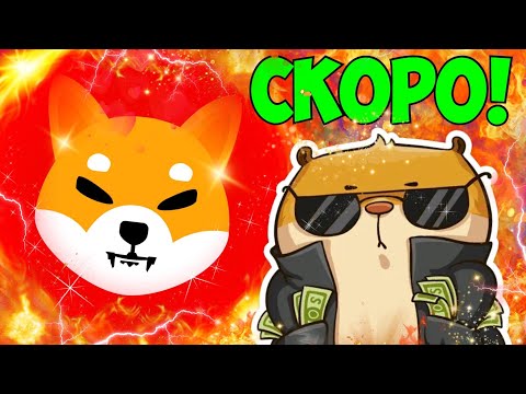 SHIBA INU СОБИРАЕТСЯ