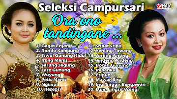 Seleksi Campursari // Ra Ono Tandingane #Dasastudio