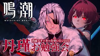 【鳴潮】初心者漂泊者です！丹瑾教えてください💦【Vtuber】