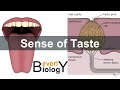 Sense of taste