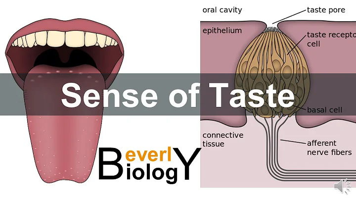 Sense of taste - DayDayNews