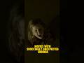 Movie will shock you with an unexpected ending #viralshorts #moviewreview #recommendations #shorts