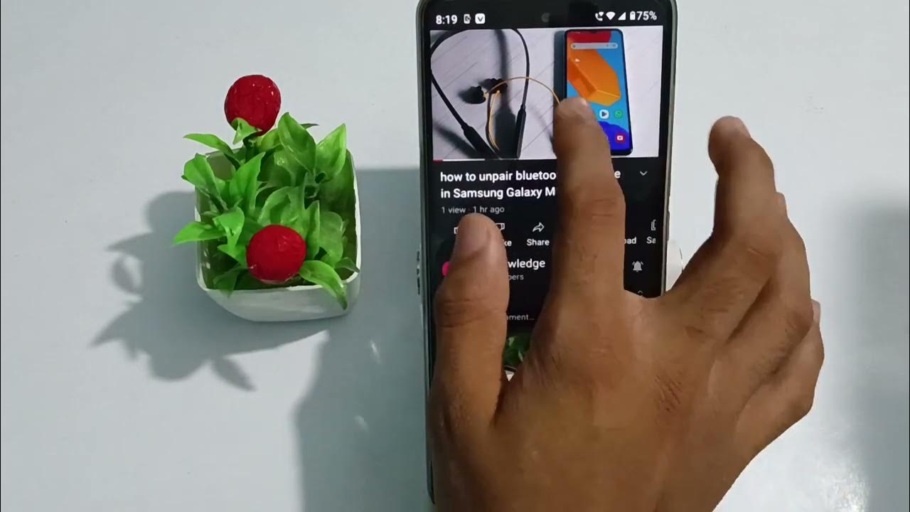 how to se auto quality in YouTube videos YouTube