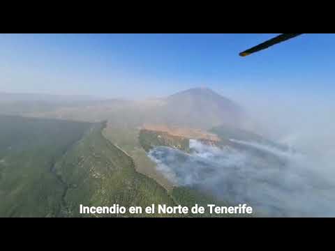 Vista aérea del incendio forestal en Tenerife (23-7-2022)