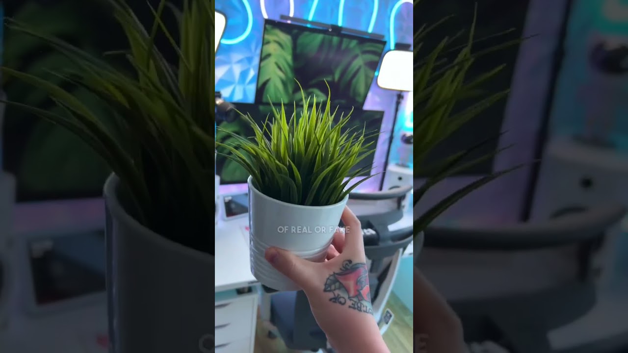 Simple Ways To Improve Your Setup Pt.2 - Plant life! 🪴🌿