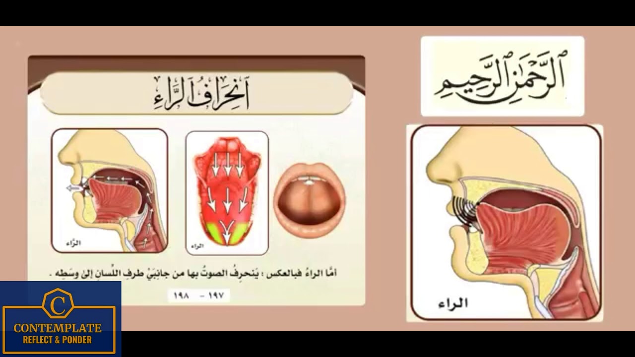 Light Raa Rules Articulation of letter Raa(Rules for heavy & light)Trans eng+Urdu|أحكام ...