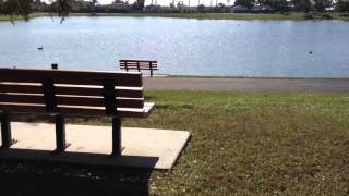 Mackle park