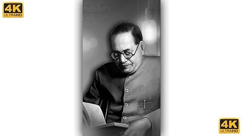 💙 Dr. Babasaheb Ambedkar Status | Jay Bhim Status | New Jay Bhim Whatsapp