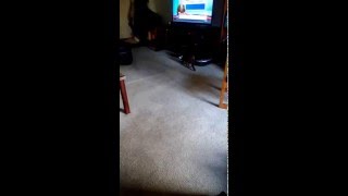 VID 20160125 105427