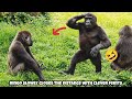 Ringo's clever feints make the brothers' game even more exciting! 🦍❤️😆林戈靠著一連串假動作，讓這場兄弟遊戲變得更加精彩有趣