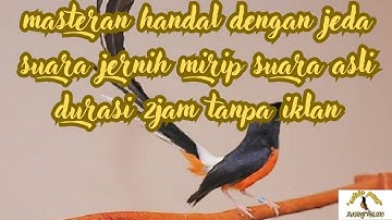 INI BARU BEDA‼️‼️‼️‼️ SEMUA Ada DISINI...!HEMAT 15 JUTA RUPIAH (Kompilasi Masteran)