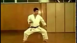 Гэкисай Дайни Ката, Годзю Рю Карате До