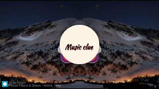 Fabian Mazur Snavs - Arena (music clue)