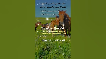 تلاوة خاشعة عطرة مباركة جميلة عذبة للشيخ فارس عباد ماتيسر من سورة الشعراء