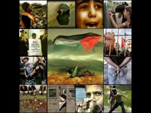 Facebook   Videos posted by القارىء محمد صلاح نافع  تلاوة رائعة لأواخر سورة آلعمران