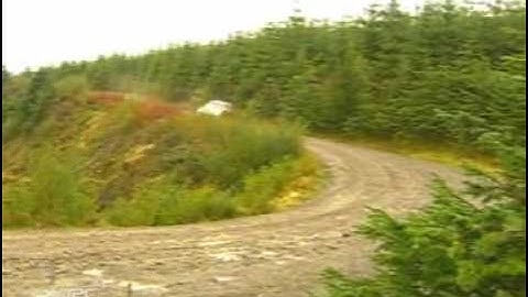 Rally Drifting from www metacafe com