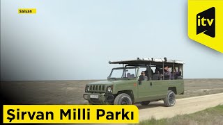 Turistlərin ən çox üz tutduğu məkanlardan biri – Şirvan Milli Parkı