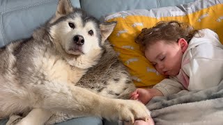 Stubborn Husky REFUSING To Leave My Babies Side! Then REFUSING To Let Me Wake Her!😭.