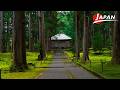 A Shrine Draped in Moss – Heisenji Hakusan Shrine | Fukui, Japan Travel