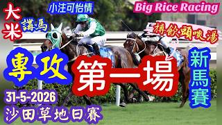 香港賽馬 專攻第一場 (新馬賽) 31-5-2026 沙田草地日賽 (全場分析拆局，是次策略 : WP馬胆一拖二 )