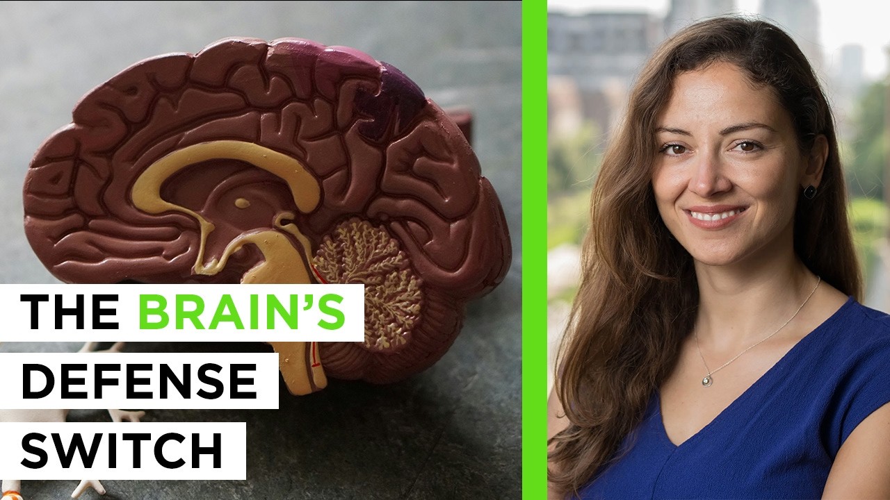Why Some Brains Never Get Alzheimer’s | Dr. Sarah Marzi