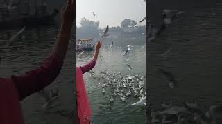 gwarighat jabalpur madhya pradesh. anilparmarvlog gaurighat jabalpur reenalvlog