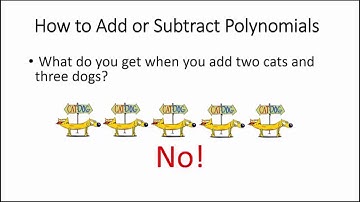 Add or Subtract Polynomials: Introduction to Polynomials