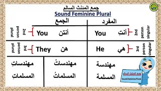FEMININE PLURAL IN ARABIC LANGUAGE | جمع المئنث السالم