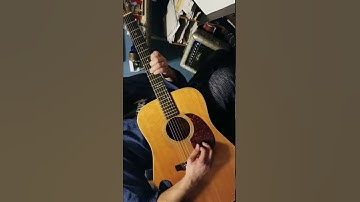 Thumbnail of Wildwood flower Patrick