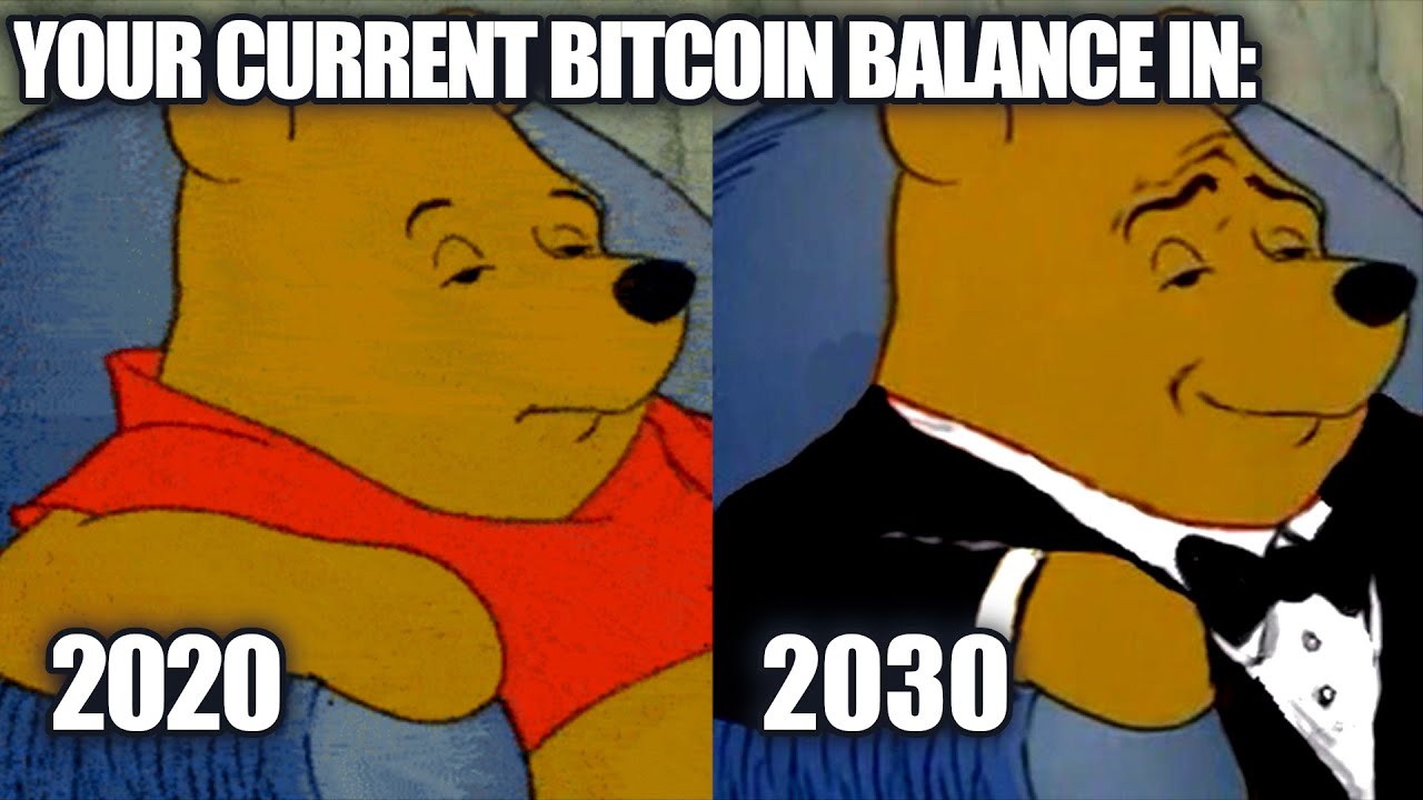 The Bitcoin "1%". How Much BTC Will You Need in 2030 ...