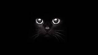 Doja Cat- Trauma Audio